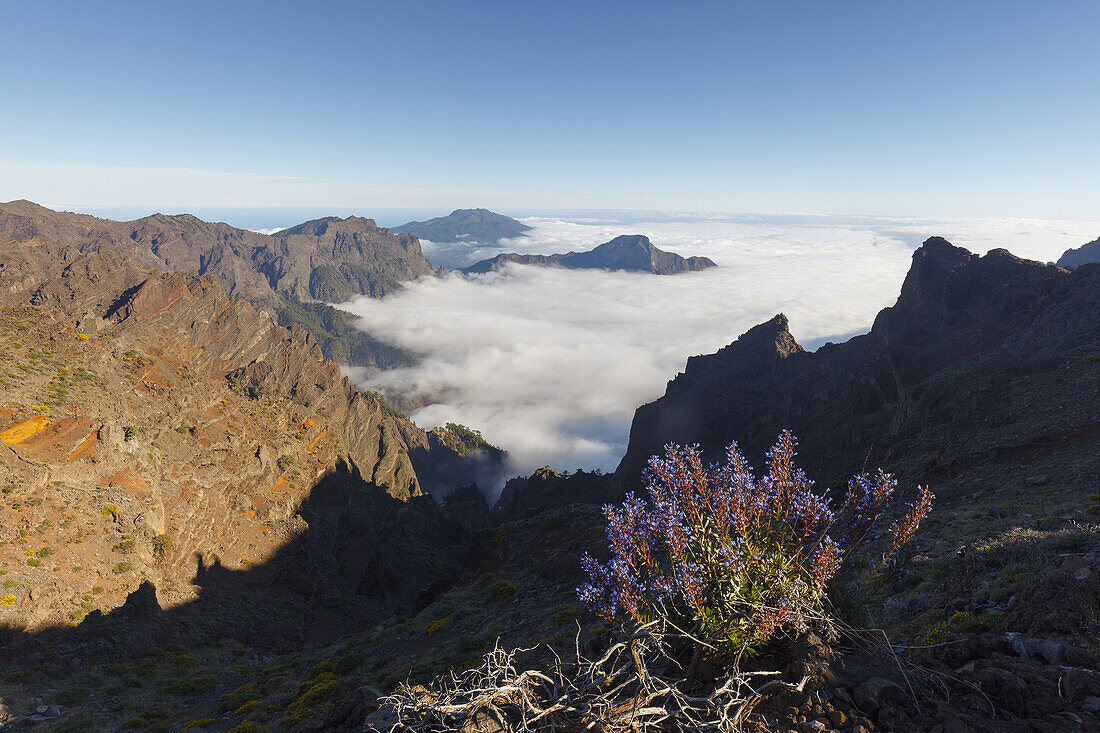 view into the crater, near Pico de la Cruz, crater rim, Caldera de Taburiente, Parque Nacional de la Caldera de Taburiente, Nacional Park, UNESCO Biosphere Reserve, La Palma, Canary Islands, Spain, Europe