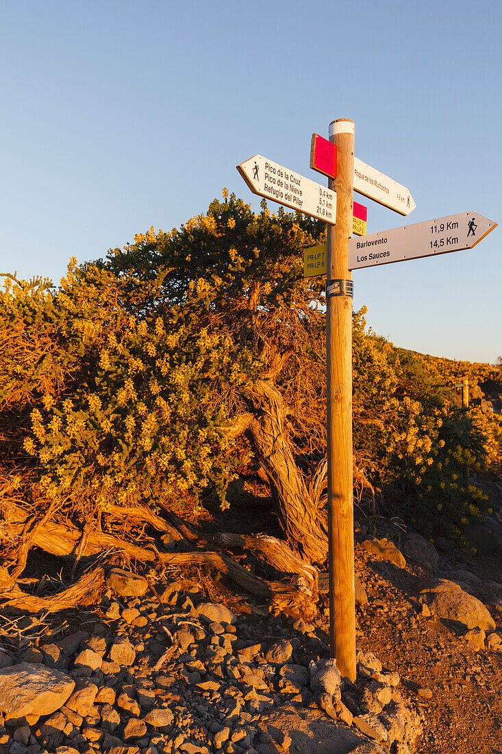 Schilder, Wanderwege, Wandern, b. Pico de la Cruz, Kraterrand, Caldera de Taburiente,UNESCO Biosphärenreservat, La Palma, Kanarische Inseln, Spanien, Europa