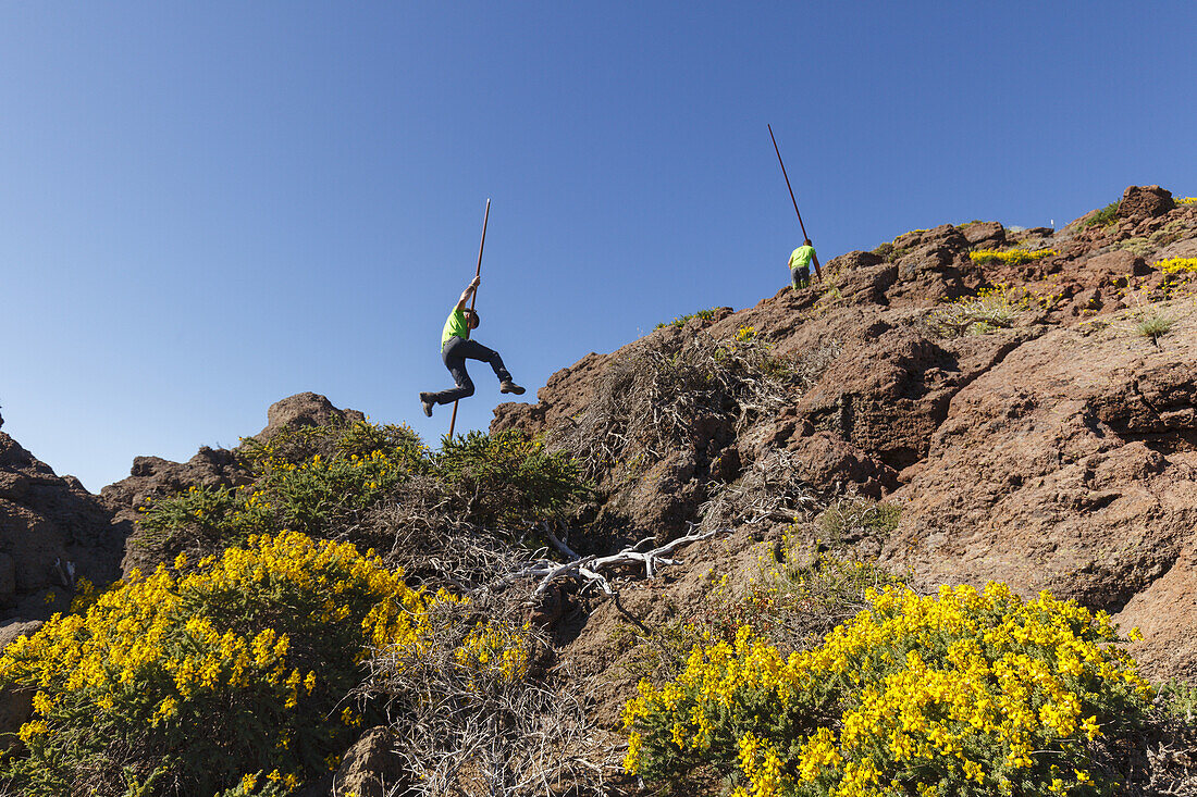 Springen mit dem Kanarischen Hirtenstab, Männer, Salto del Pastor Canario, Kraterrand der Caldera de Taburiente, UNESCO Biosphärenreservat, La Palma, Kanarische Inseln, Spanien, Europa