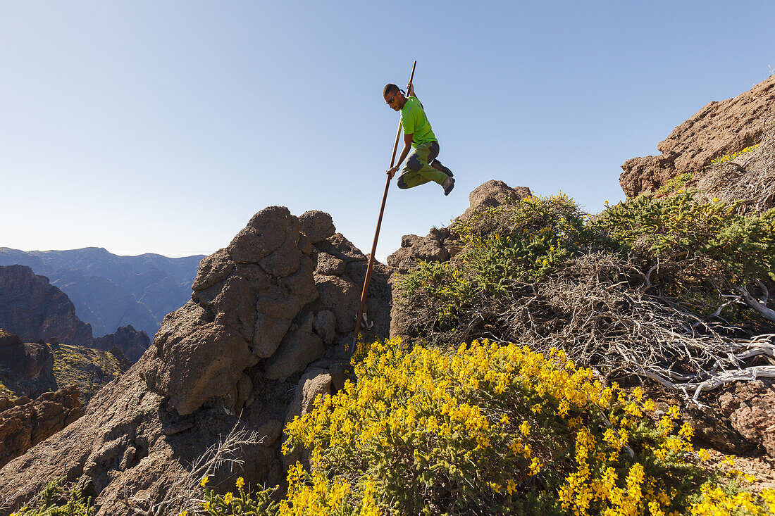 man jumping with the canarian crook, crater rim, Caldera de Taburiente, UNESCO Biosphere Reserve, La Palma, Canary Islands, Spain, Europe