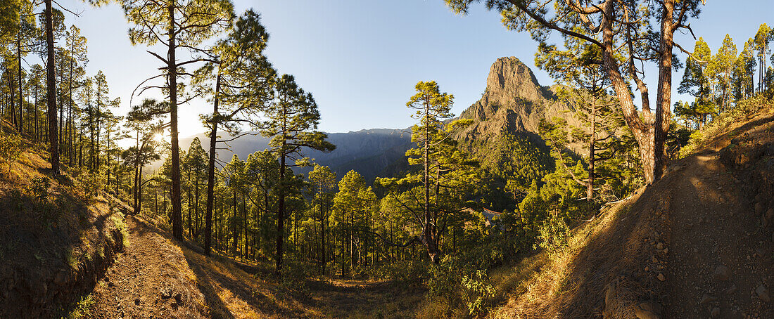 Blick zum Punta de los Roques, Berg,  2085m, Wanderung zum Pico Bejenado, Berg, Kraterrand der Caldera de Taburiente, Parque Nacional de la Caldera de Taburiente, Nationalpark, UNESCO Biosphärenreservat,  La Palma, Kanarische Inseln, Spanien, Europa