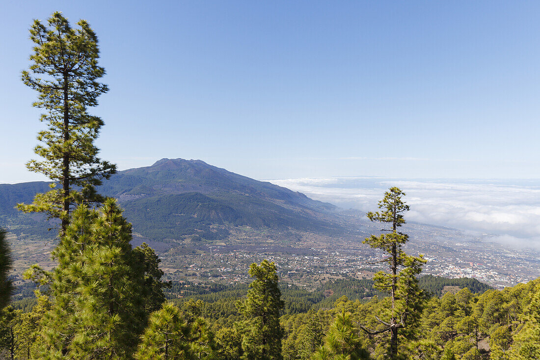 Wanderung zum Pico Bejenado, Berg 1844m, Kraterrand der Caldera de Taburiente, Parque Nacional de la Caldera de Taburiente, Nationalpark, UNESCO Biosphärenreservat,  La Palma, Kanarische Inseln, Spanien, Europa