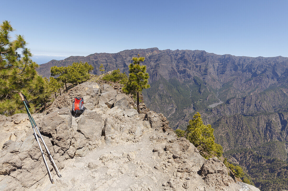 summit, hiking tour to Pico Bejenado, mountain, 1844m, crater rim of  Caldera de Taburiente, Parque Nacional de la Caldera de Taburiente, National Park, UNESCO Biosphere Reserve, La Palma, Canary Islands, Spain, Europe