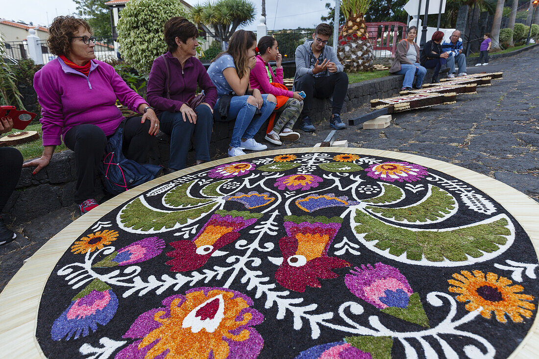 Blütenteppiche für die Prozession, Corpus Christi, Fronleichnahmsfest,Villa de Mazo, UNESCO Biosphärenreservat,  La Palma, Kanarische Inseln, Spanien, Europa