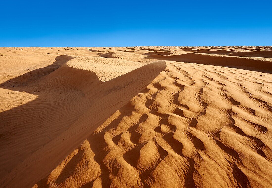 The Sahara desert sand dunes of Erg Oriental near the oasis of Ksar Ghilane, Tunisia, Africa.