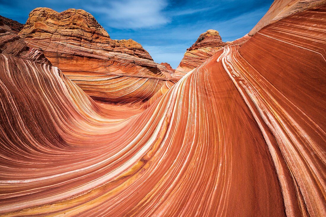 The Wave, Coyote Buttes, Paria-Vermilion Cliffs Wilderness, Arizona USA.