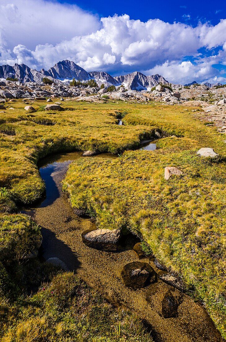 Creek and meadow in Dusy Basin, Kings Canyon National Park, California USA.