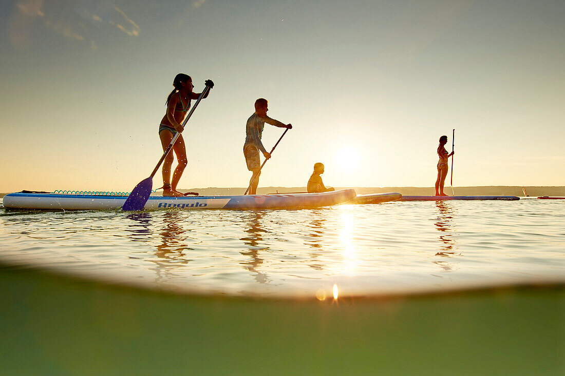 Three Stand Up Paddler and a kid on SUP,  on Lake Starnberg,  Lake Starnberg, Bavaria, Germany