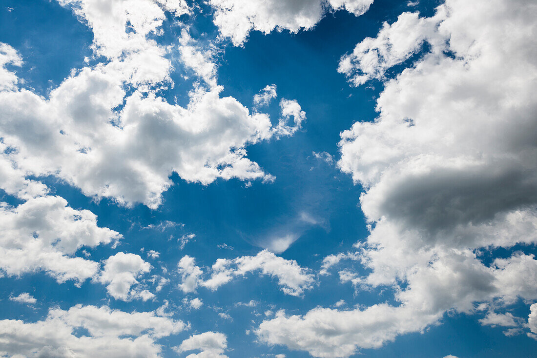 Cumulus-Wolken und blauer Himmel, Cumulus, Haufenwolke, Quellwolke, Schäfchenwolke