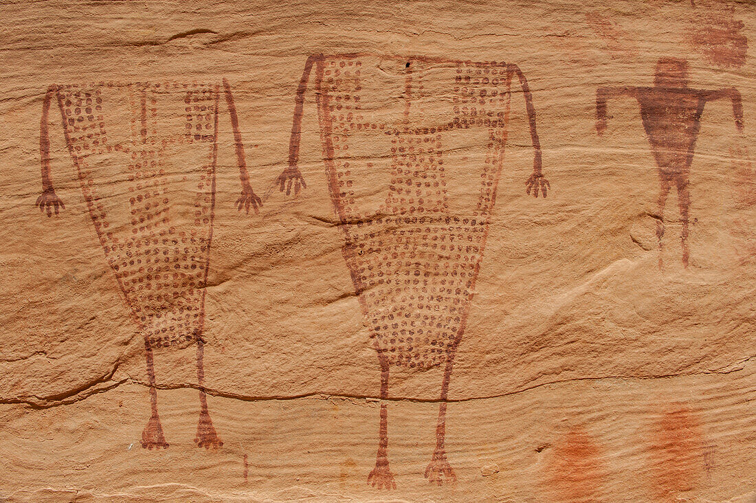 Petroglyphs made by Ancestral Puebloans, Birthing Panel, Grand Gulch, Cedar Mesa, Bears Ears National Monument, Utah