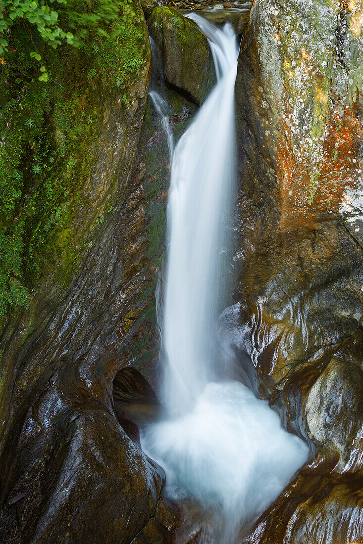 Waterfall near Starleggia village, Campodolcino, Spluga valley, Sondrio province, Lombardy, Italy, Europe