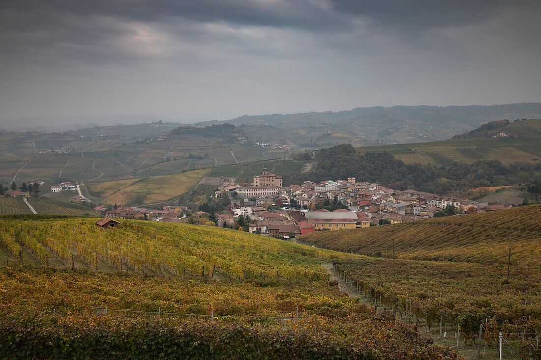 Barolo, Cuneo province, Piedmont district, Italy, Europe