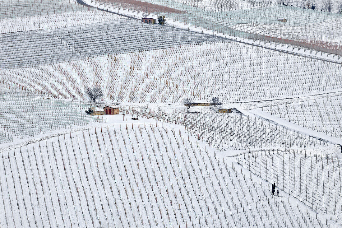 Langhe, Cuneo district, Piedmont, Italy. Langhe wine region winter snow