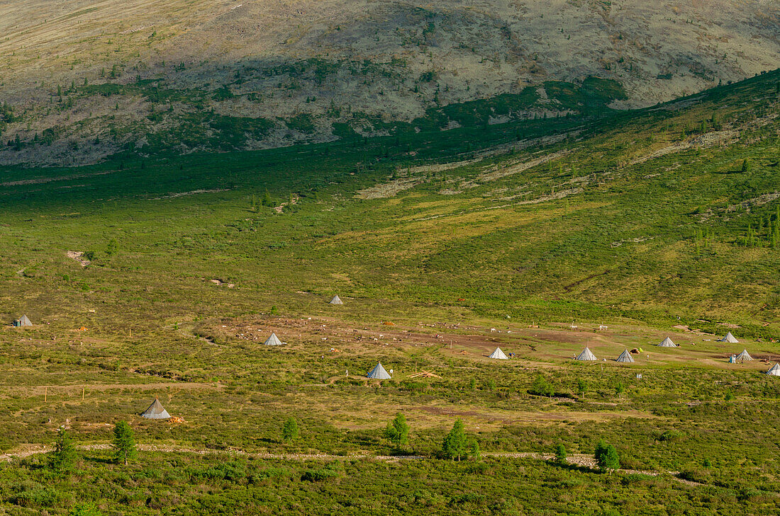 A view of the Tsaatan Camp, Hovsgol Province, Northern Mongolia.