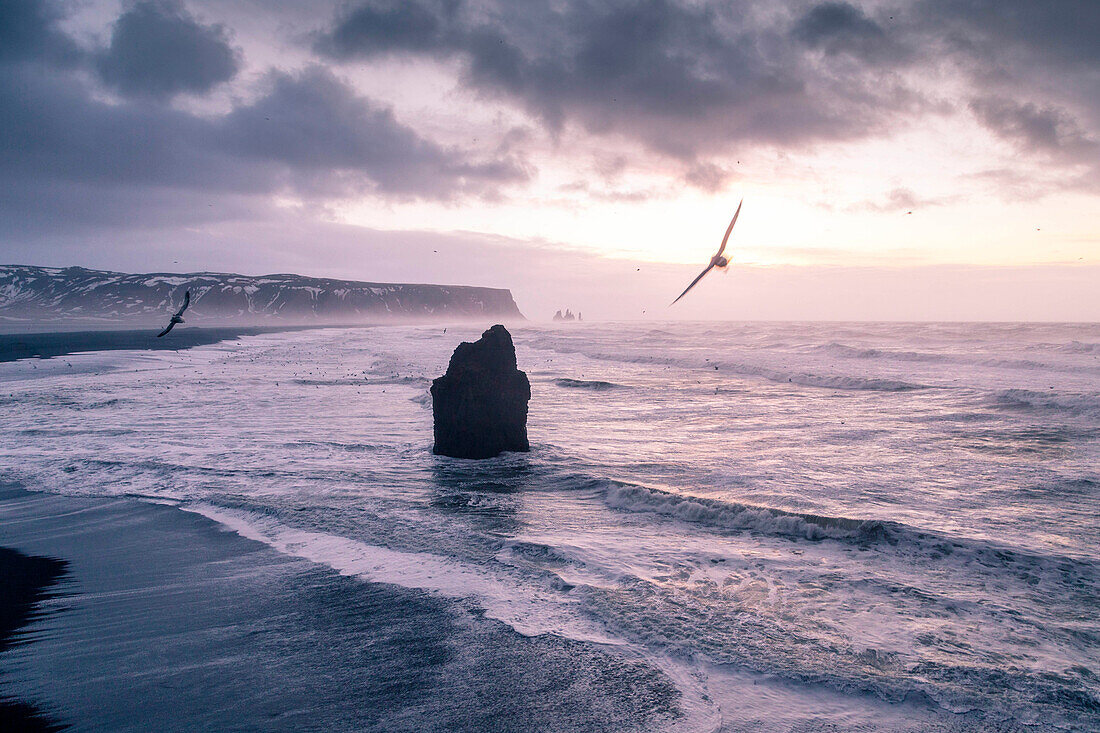 Reynisfjara beach from Dyrholaey viewpoint, Vik, Southern Iceland