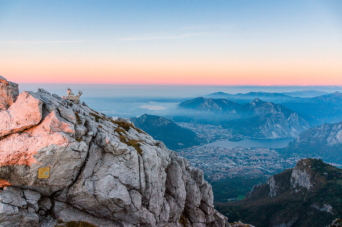 View of Lecco city and Como Lake from the summit of Resegone at sunrise, Lecco, Lombardy, Alps, Italy, Europe
