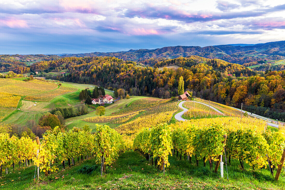 The heartshaped road at sunset. Spicnik, Kungota, Drava region, Slovenia.