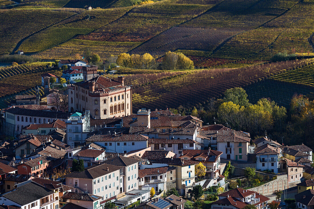 Langhe, Cuneo district, Piedmont, Italy, Europe. Barolo wine region