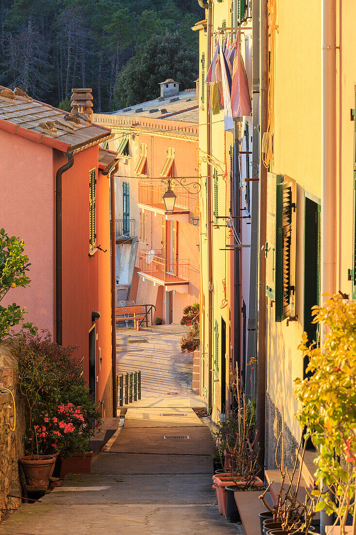 Historic center of Framura illuminated by warm light. Framura, Liguria, Italy.