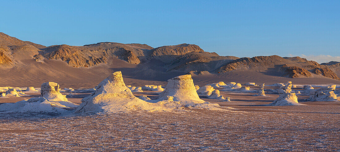 Puna with Pumice Stone Field, Catamarca, Argentina