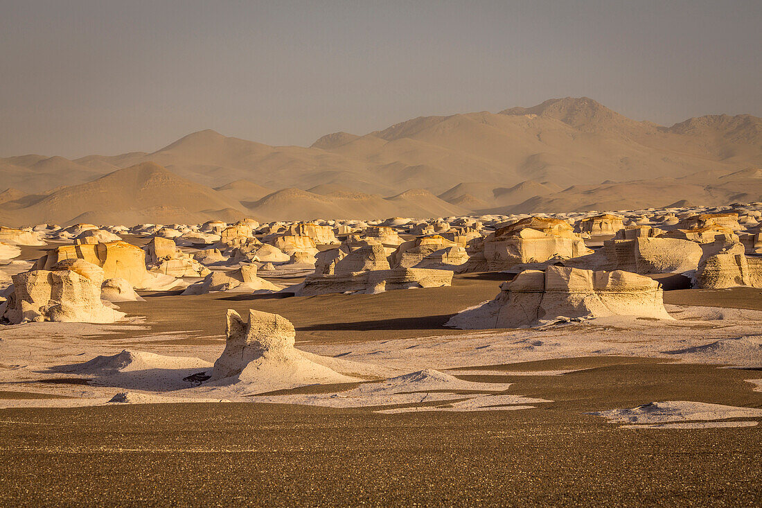 Puna with Pumice Stone Field, Catamarca, Argentina