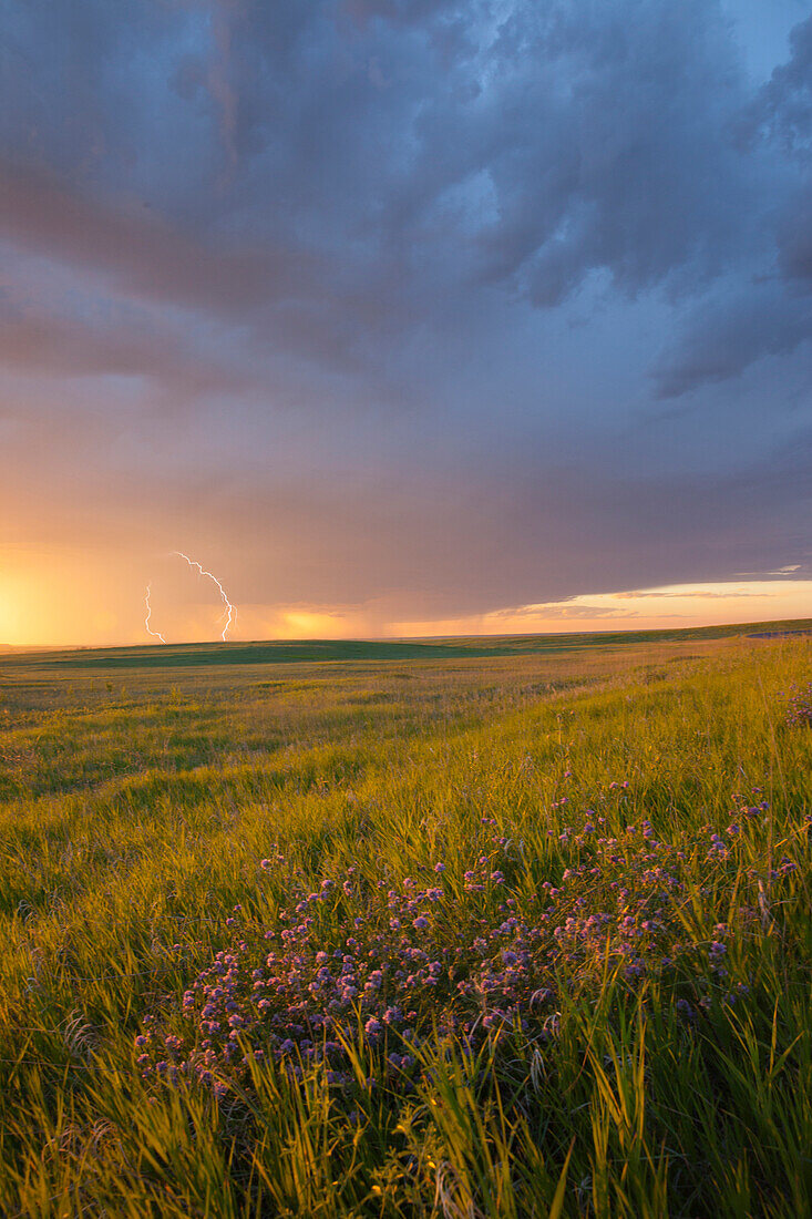Lightning strikes over prairie, Badlands National Park, South Dakota