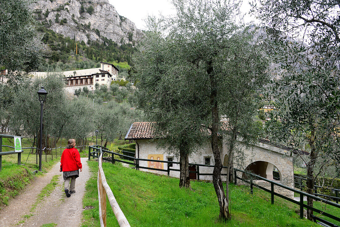 San Pietro in Limone, Lake Garda, Trentino, Italy