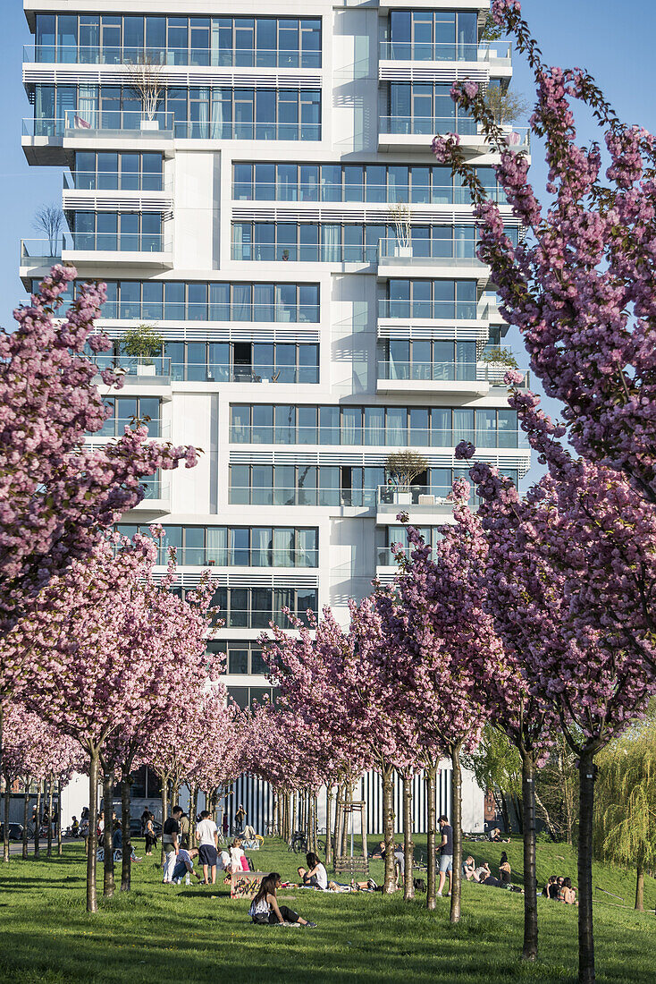 Cherry Blossom, East Side  Park, Skyscraper Living Levels