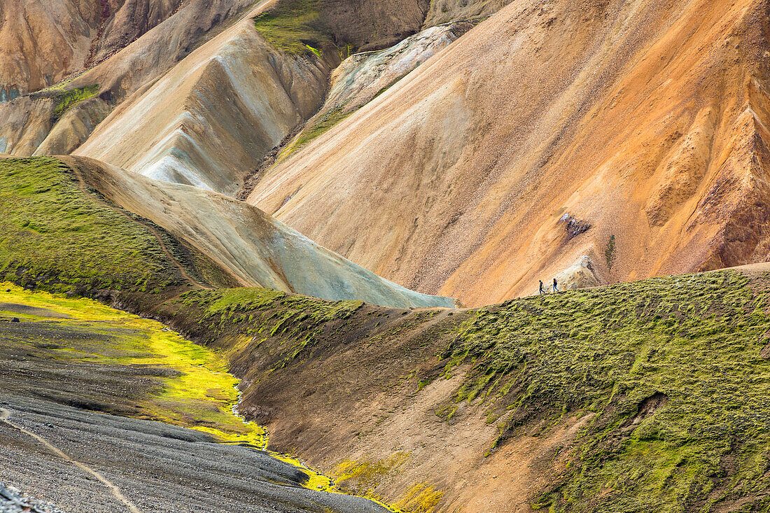 Trekkers are walking in Landmannalaugar (Fjallabak Nature Reserve, Highlands, Southern Region, Iceland, Europe)