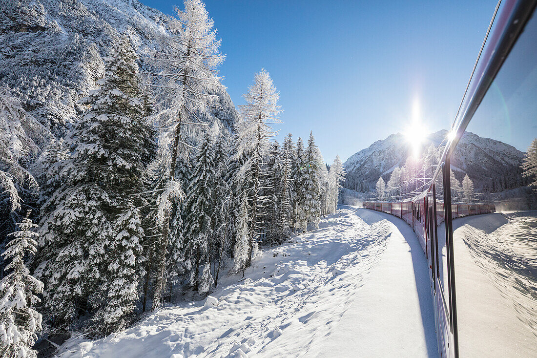 Bernina Express train passes through snowy woods, Preda Bergun, Albula Valley, Canton of Graubünden, Switzerland