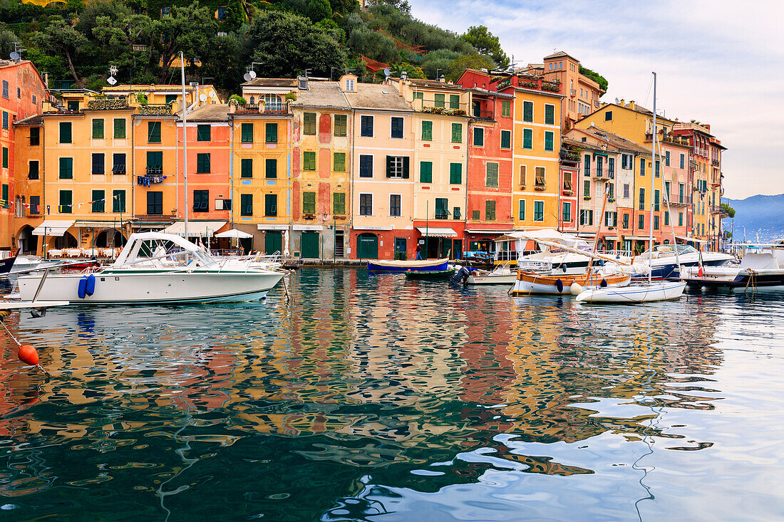 Harbor and typical colored houses, Portofino, province of Genoa, Liguria, Italy