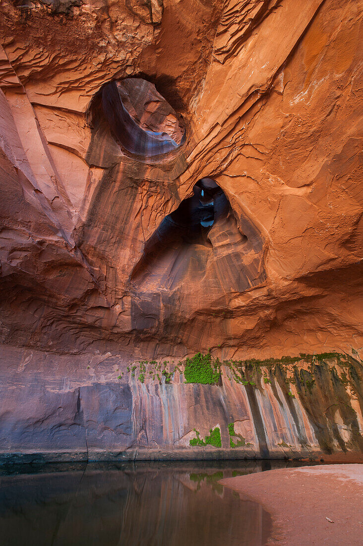 Hole in rock cliff, Golden Cathedral in Neon Canyon, Grand Staircase-Escalante National Monument, Utah