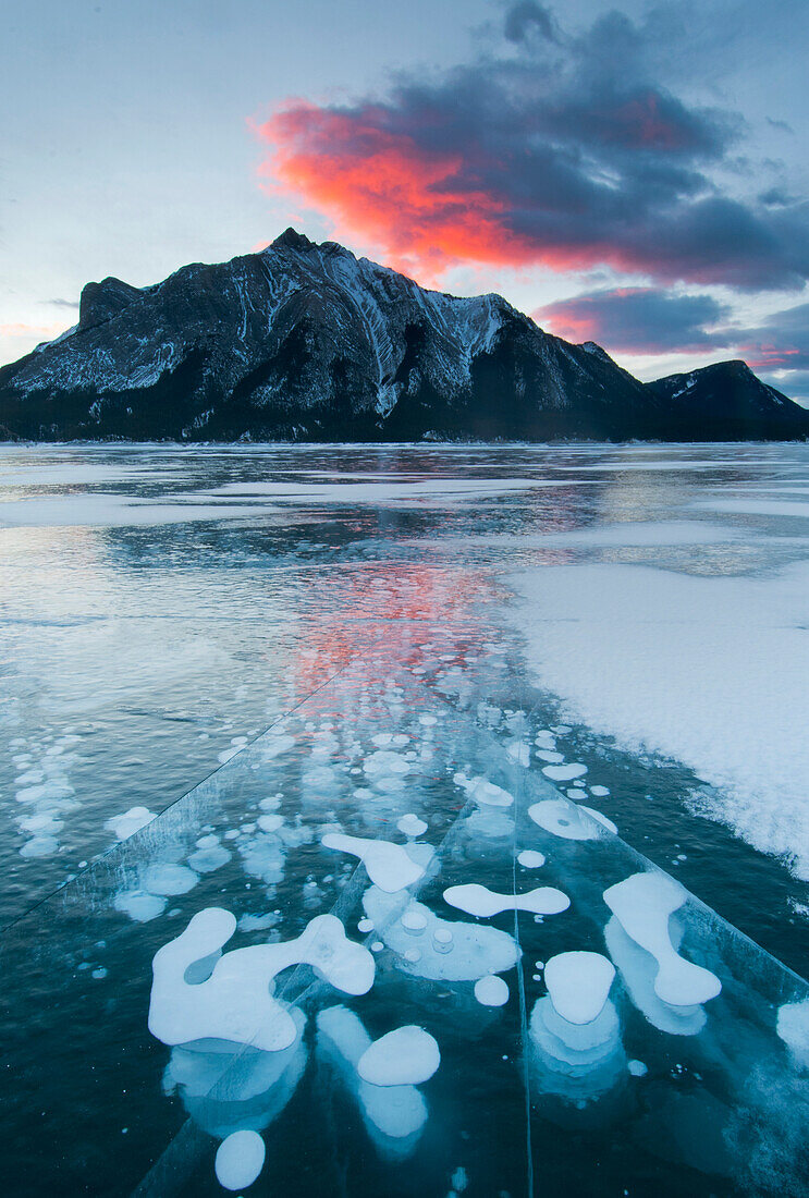 Frozen methane bubbles in winter, Abraham Lake, Canadian Rocky Mountains, Alberta, Canada