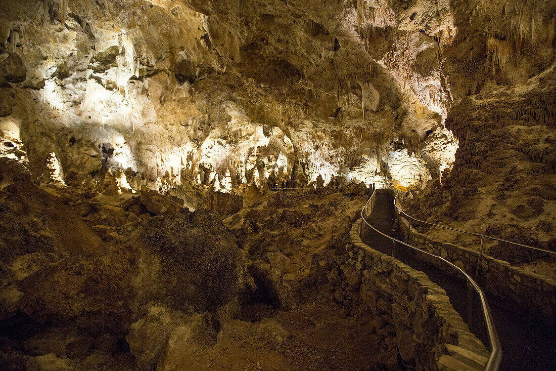 A walking path flows through Carlsbad Caverns in New Mexico.