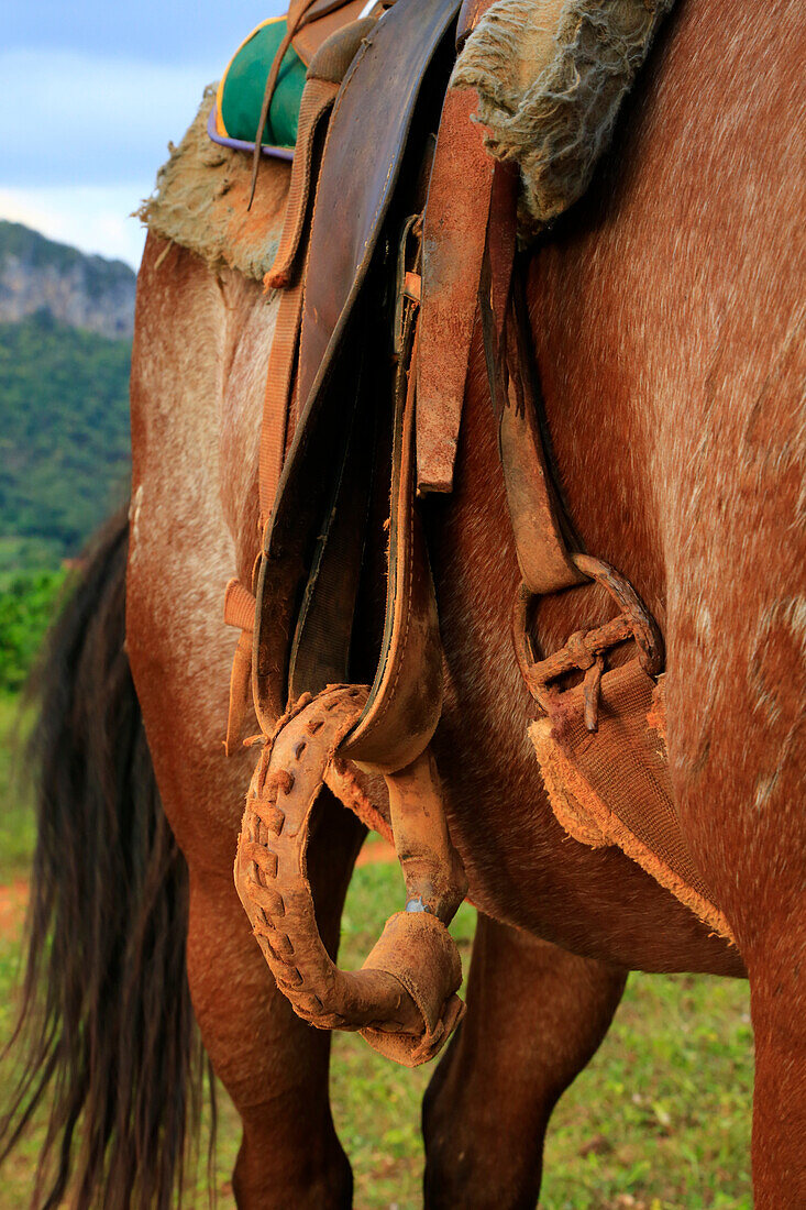 Detail of leatherwork and riding saddle and equipment during horse riding tour through tobacco fincas plantations in Vinales valley, western Cuba