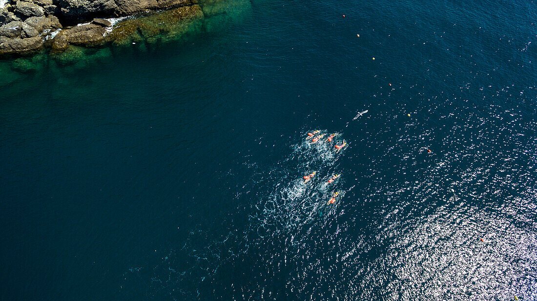 group of girls swimming in deep blue waters of the Ligurian sea, the sun reflection in the waters and rocks in the top left side of the picture, close to Paraggi, Italy