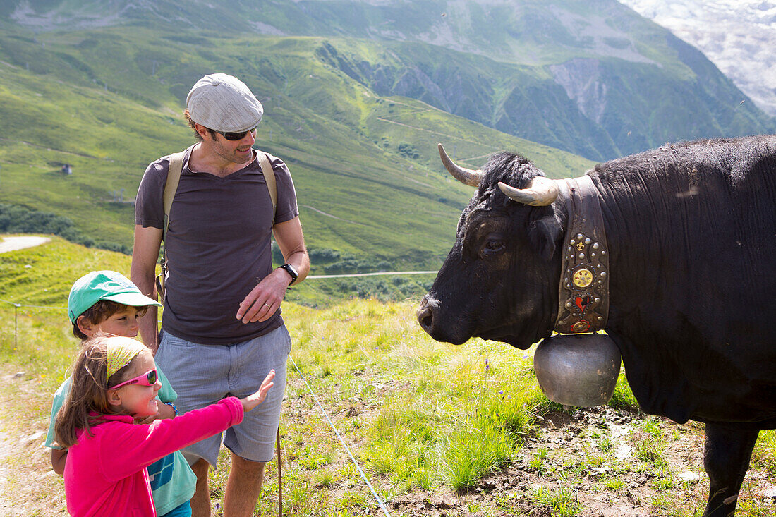 Family looking at cow in French Alps with girl reaching hand out, Chamonix, Haute-Savoie, France