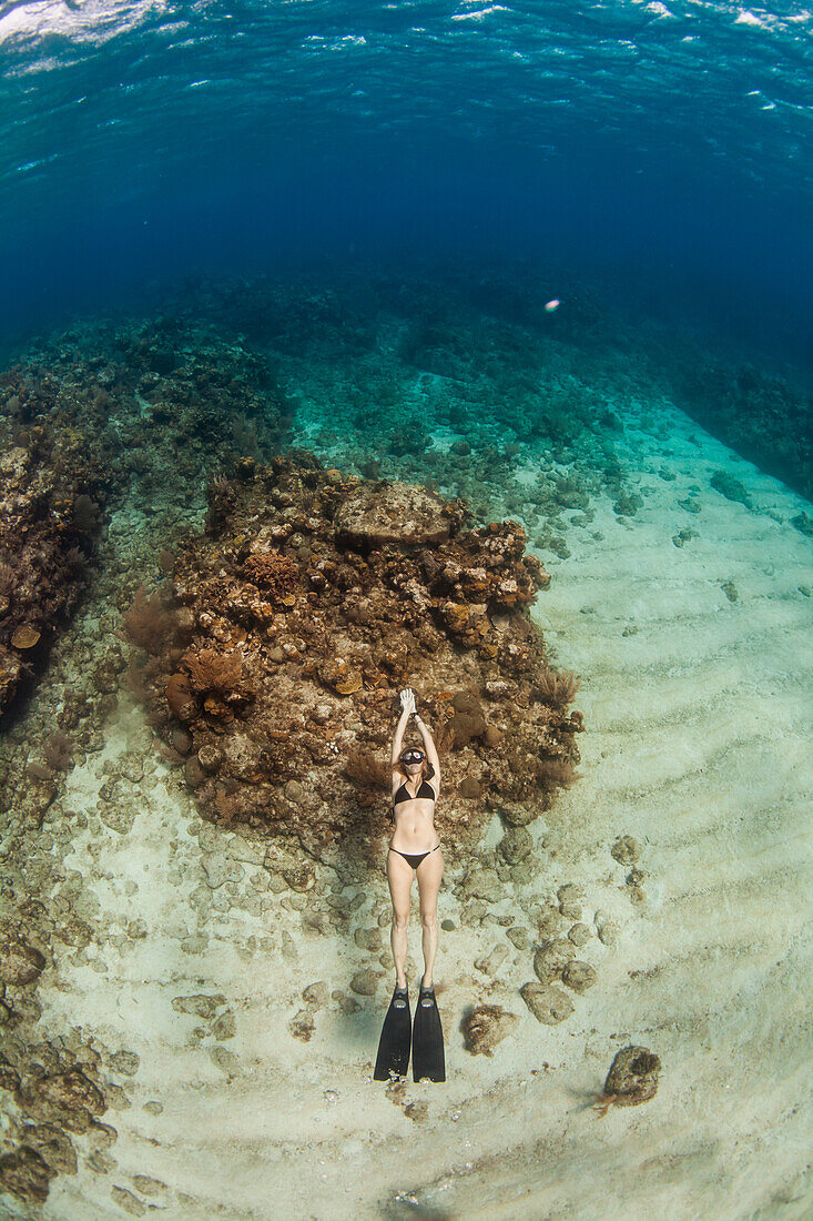 Woman floating, freediving underwater off coast of Roatan Islands reef, Honduras