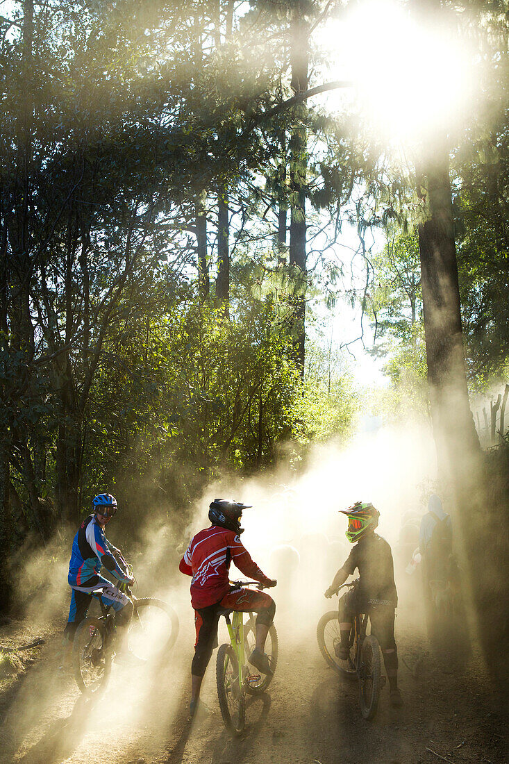 Rear view of bikers waiting in dust for flock of sheep to pass, Tenango, State of Mexico, Mexico