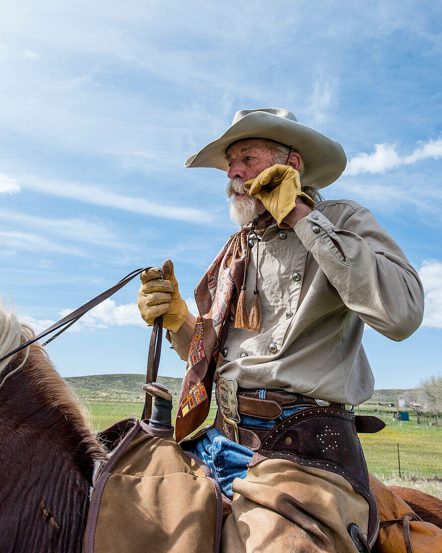 Old cowboy on cattle drive through Maybell, Colorado, USA