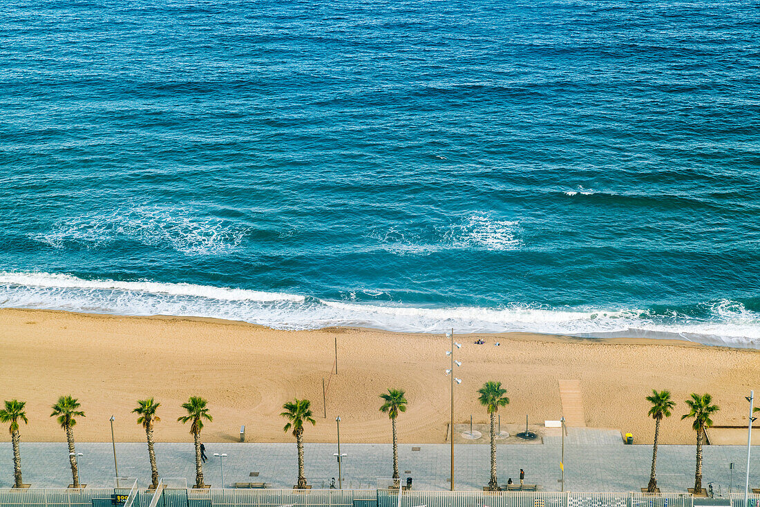 Aerial view of sea and beach with palm trees, Barcelona, Catalonia, Spain