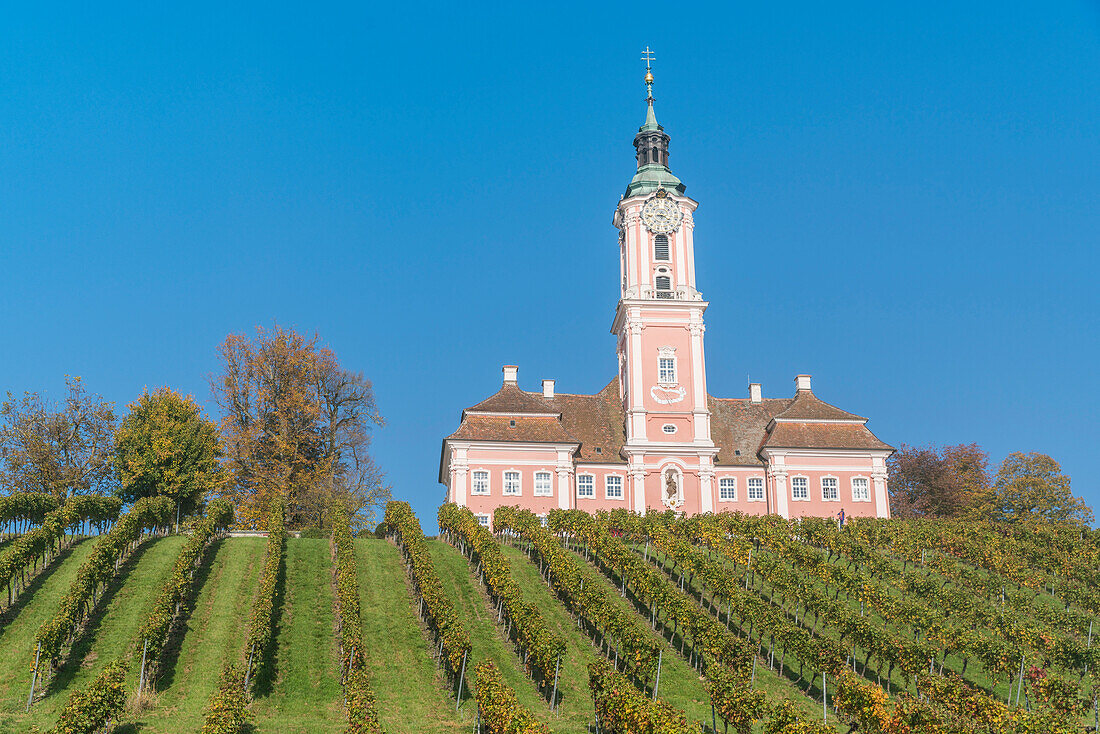 Birnau sanctuary and vineyards from below. Uhldingen-Mühlhofen, Baden-Württemberg, Germany.