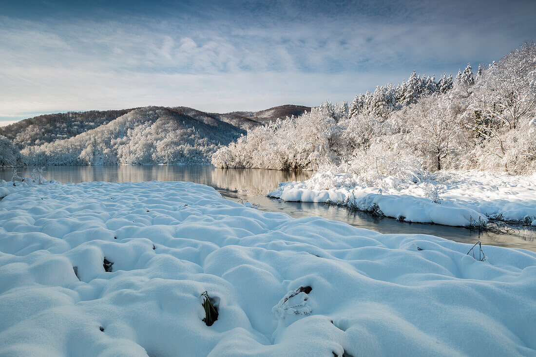 River and forests of Plitvice Lakes National Park in winter, Plitvicka Jezera, Lika and Senj County, Croatia