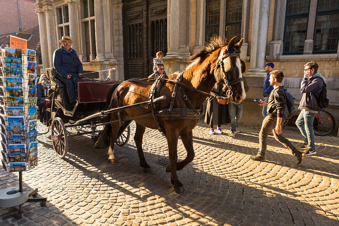 Touristic horse-drawn carriage, Bruges,flemish region, West Flanders, Belgium, Europe