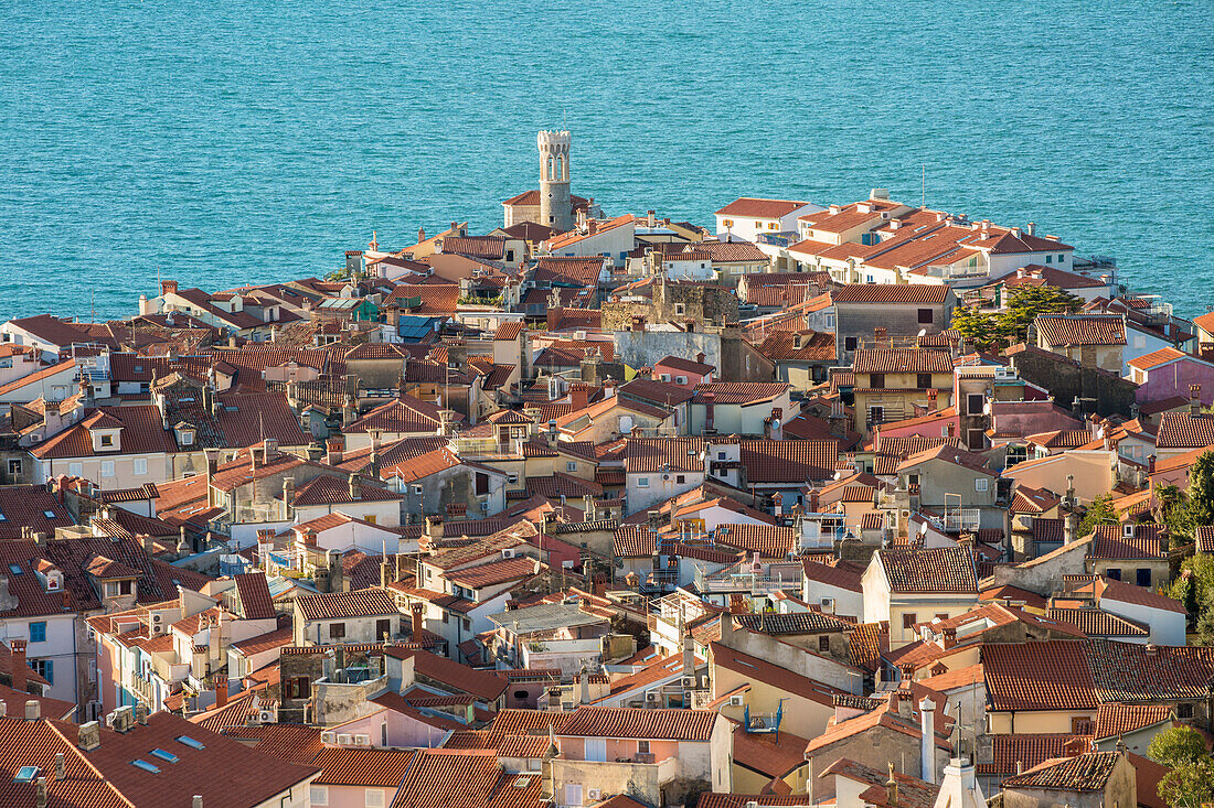 the roofs of Piran viewed from town walls, Piran, Istria, Slovenia
