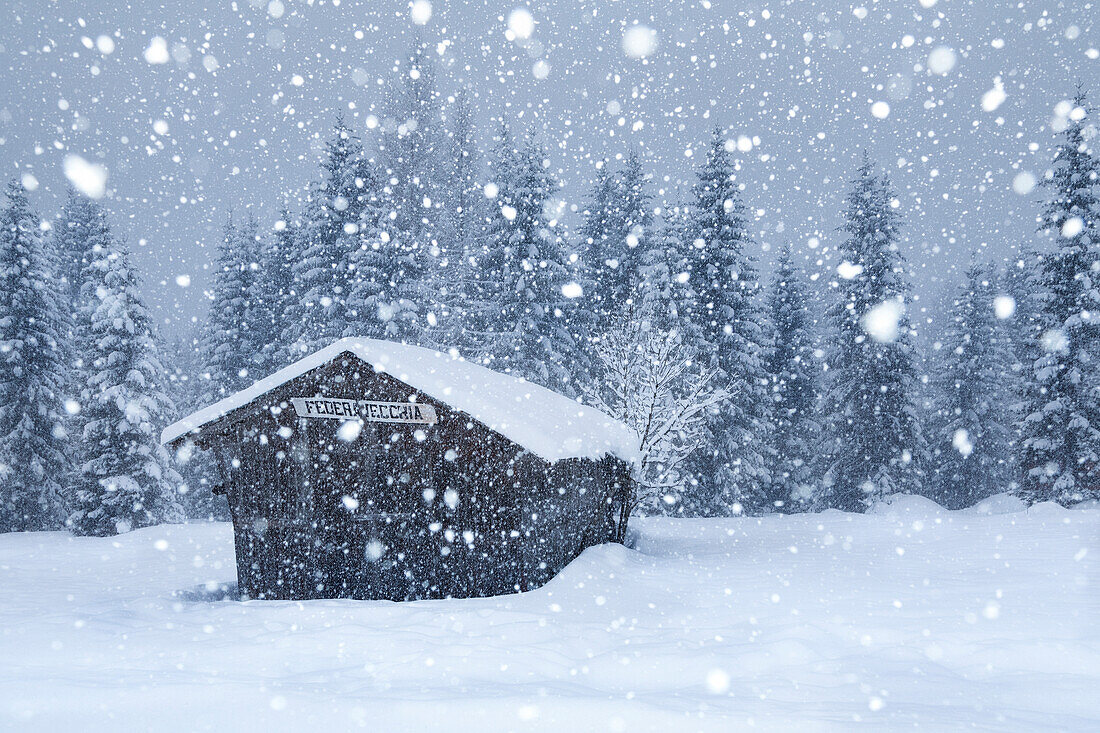 Old mountain barn under a copious snowfall, Ansiei valley, Auronzo di Cadore, Dolomites, Belluno, Veneto, Italy