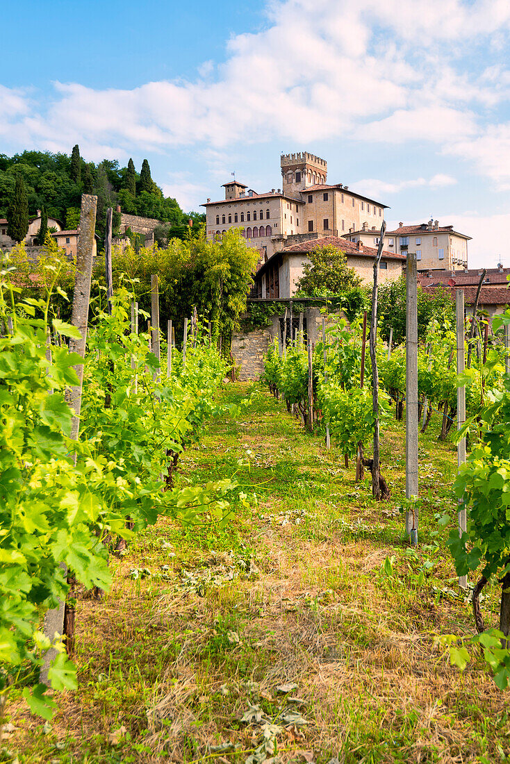 Costa di Mezzate castle, Bergamo Province, Lombardy district, Italy