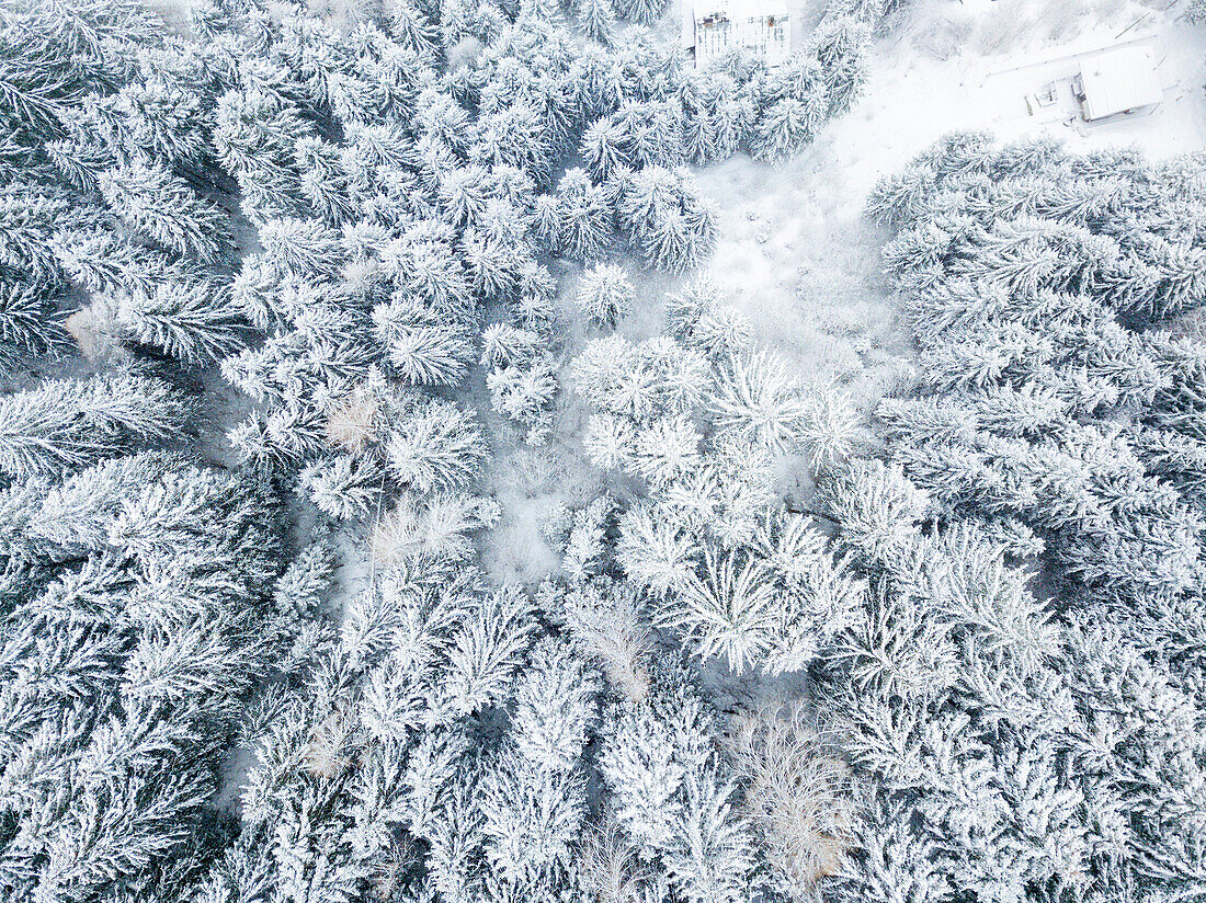 Aerial view, Lombardy district, Brescia province, Italy