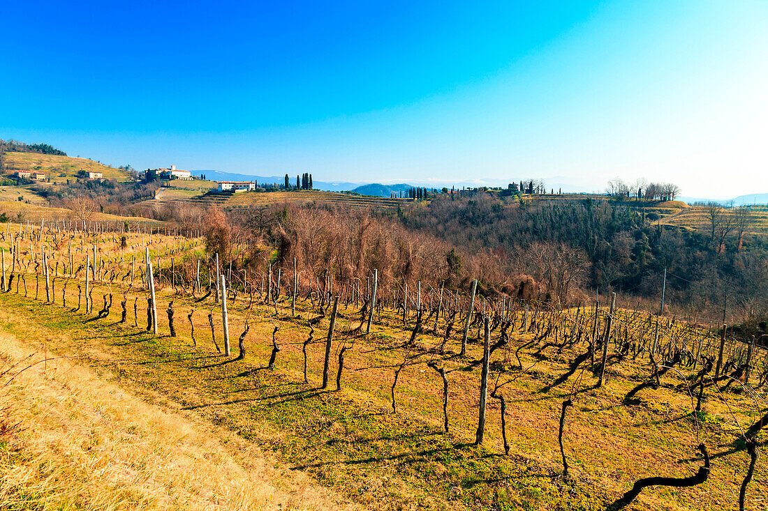 Abbazia di Rosazzo, Collio Friulano, Udine Province, Friuli Venezia-Giulia, Italy.