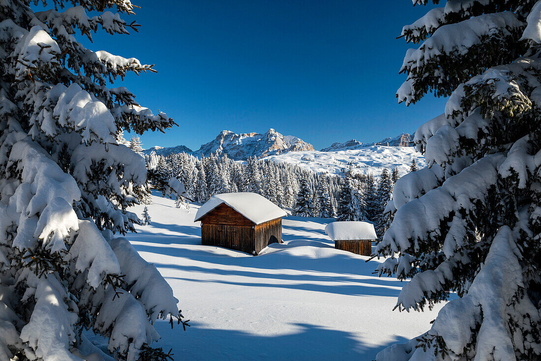 Chalet in Alta Badia, Alto Adige, Italy